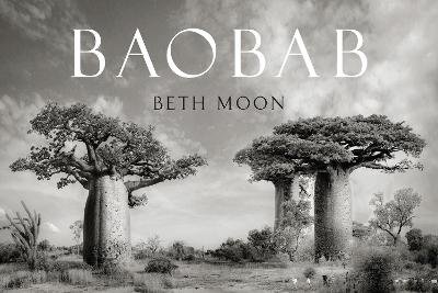 Baobab Beth Moon