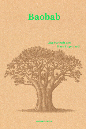 Baobab Matthes & Seitz Berlin
