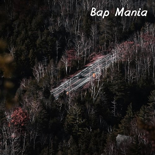 Bap Mania Kathleen Austin