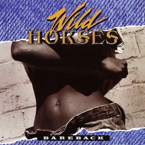 Bareback Wild Horses