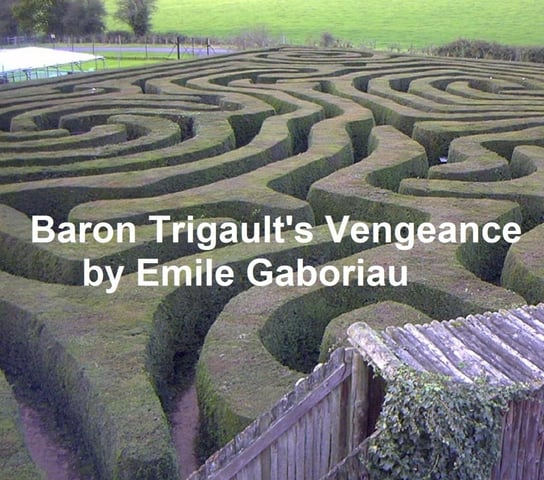 Baron Trigault's Vengeance Emile Gaboriau