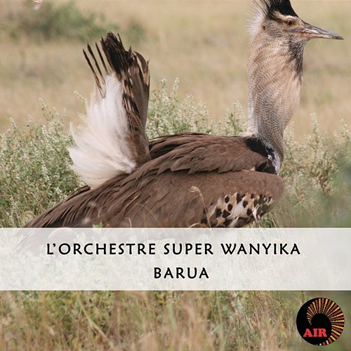 Barua L'orchestre Super Wanyika