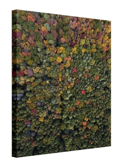 Barwy Natury - obraz na płótnie Nice Wall