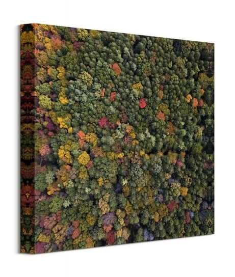 Barwy Natury - Obraz na płótnie Nice Wall