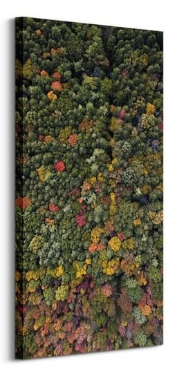 Barwy Natury - obraz na płótnie Nice Wall