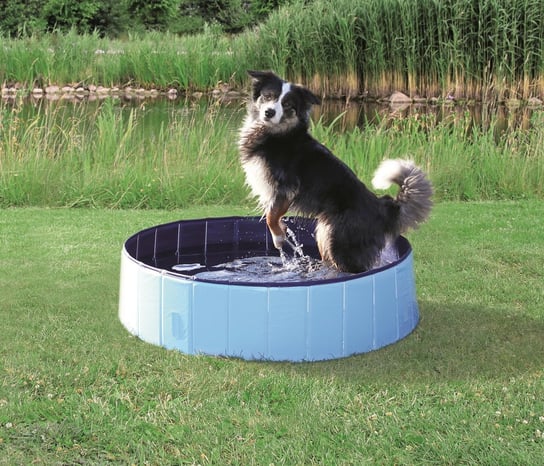 Basen dla psa, 80x20 cm, jasnoniebieski Trixie