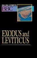 Basic Bible Commentary Exodus and Leviticus Abingdon Press, Schoville Keith N., Schoville K. N.