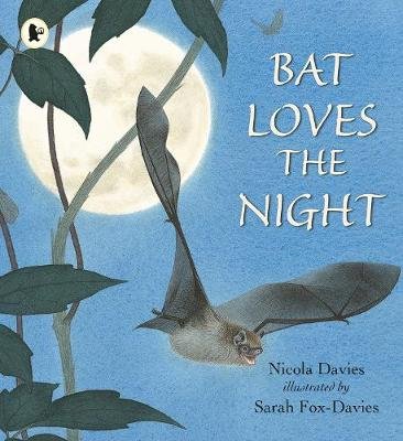Bat Loves the Night Davies Nicola
