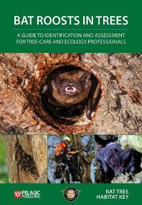 Bat Roosts Trees: Guide Identification Bat Tree Habitat Key