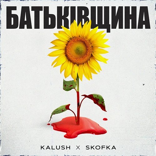 Батьківщина Skofka, KALUSH