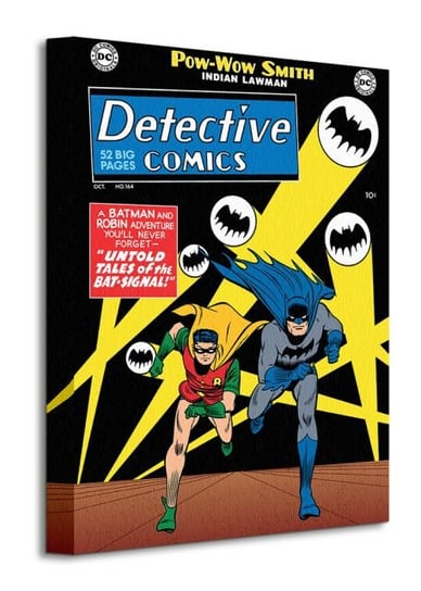 Batman and Robin - obraz na płótnie DC COMICS