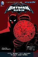 Batman and Robin, Volume 5: The Big Burn Tomasi Peter J.