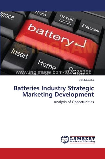 Batteries Industry Strategic Marketing Development Miloloža Ivan