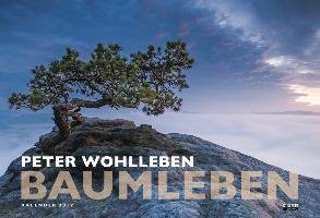 Baumleben 2019 Wandkalender Wohlleben Peter