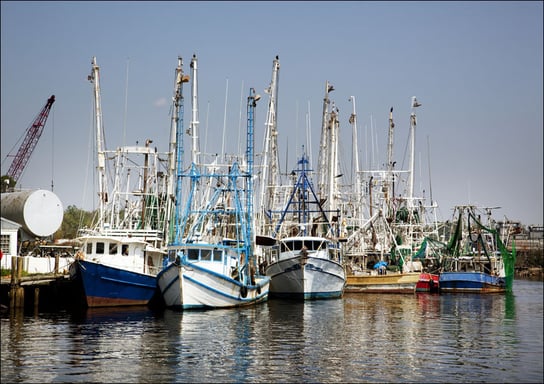 Bayou La Batre is a fishing village with a seafood-processing harbor for fishing boats and shrimp boats., Carol Highsmith - plakat 91,5x61 cm Galeria Plakatu