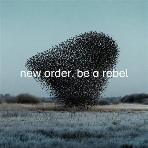 Be a Rebel, płyta winylowa New Order