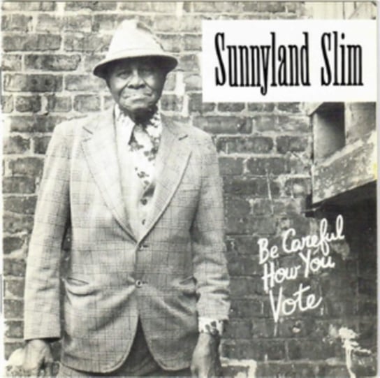 Be Careful How You Vote Sunnyland Slim