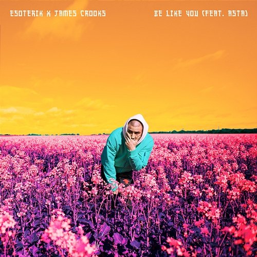 Be Like You Esoterik, James Crooks feat. Asta