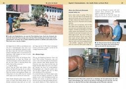 Be strict im Sattel Geitner Michael