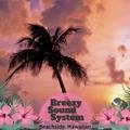 Beachside Hawaiian Breezy Sound System