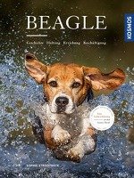 Beagle Strodtbeck Sophie