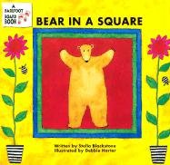 Bear in a Square Blackstone Stella