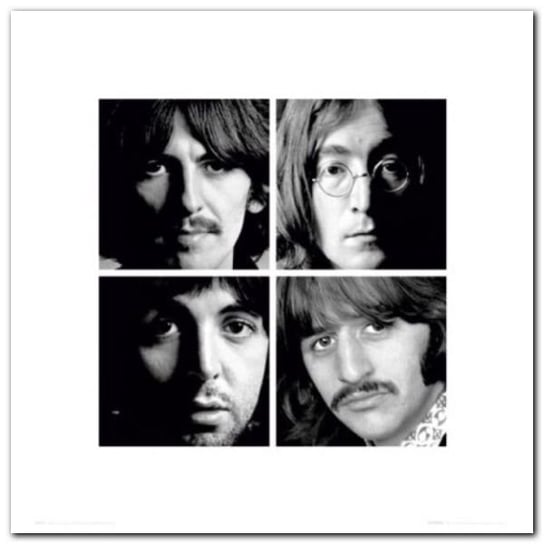 Beatles White Album plakat obraz 40x40cm Wizard+Genius