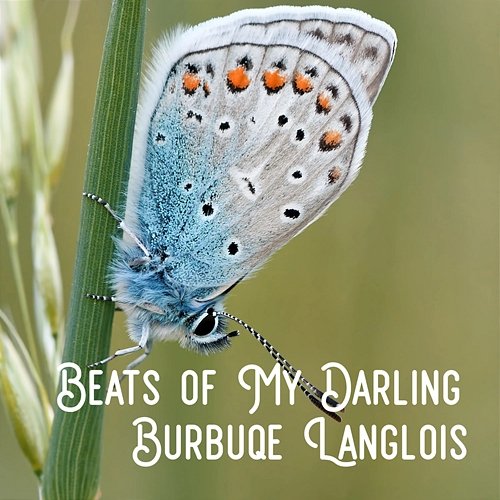 Beats of My Darling Burbuqe Langlois