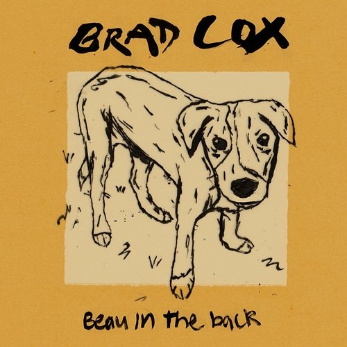 Beau in the Back Brad Cox