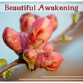 Beautiful Awakening: Relaxing Moments, Healing Meditation & Yoga Time, Stress Relief Music, Deep Massage Healing Touch Zone