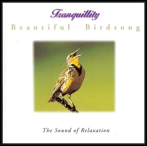 Beautiful Birdsongs Odgłosy Natury