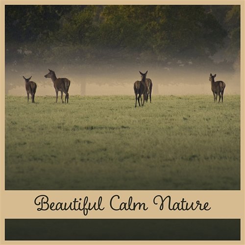 Beautiful Calm Nature – Stress Relief, Sounds of Nature, Massage Therapy, Relaxing Music Calm Nature Oasis