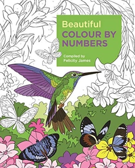 Beautiful Colour by Numbers Opracowanie zbiorowe