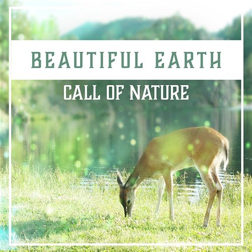 Beautiful Earth: Call of Nature, Harmony Sounds, Music for Relaxation, New Age Meditation, Wellness & Yoga, Audio Therapy Various Artists
