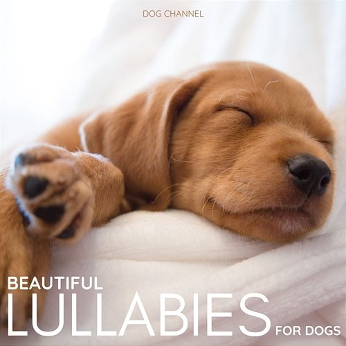 Beautiful Lullabies for Dogs Dog Channel