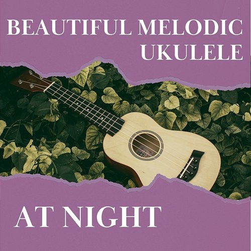 Beautiful Melodic Ukulele at Night Various Artists