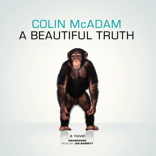 Beautiful Truth McAdam Colin