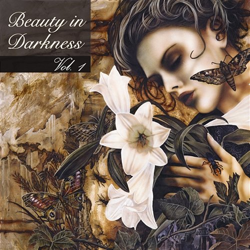 Beauty in Darkness Various Artists