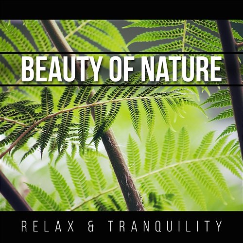 Beauty of Nature: Relax & Tranquility – Birds, Sea and Rain Sounds, Spa Relaxation, Zen Massage, Relaxing Natural Ambiences, Sleep Therapy, Piano Mothers Nature Music Academy