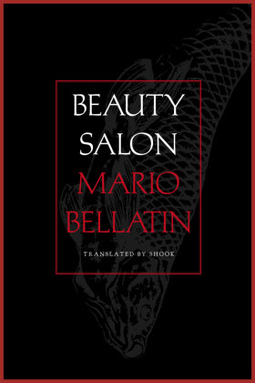 Beauty Salon Deep Vellum Publishing