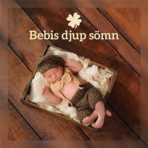 Bebis djup sömn - Den bästa avslappningsmusik för barn, lugnande indianflöjt och keltisk harpa Various Artists