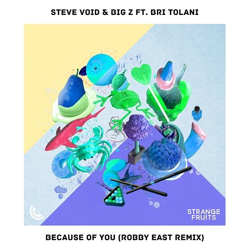 Because Of You Steve Void & Big Z feat. Bri Tolani