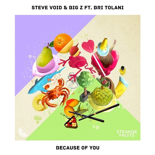 Because Of You Steve Void & Big Z feat. Bri Tolani