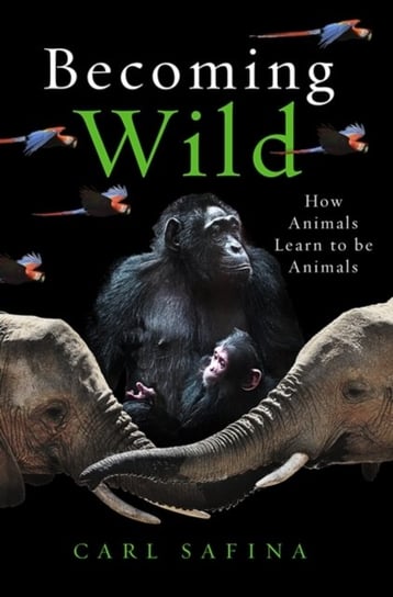 Becoming Wild: How Animals Learn to be Animals Safina Carl
