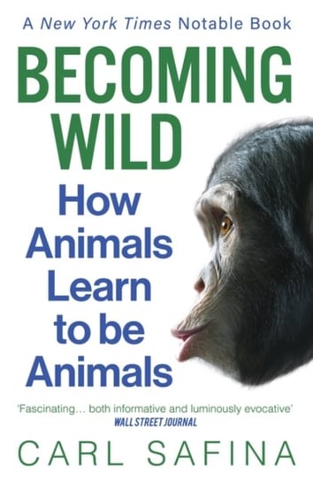 Becoming Wild: How Animals Learn to be Animals Safina Carl