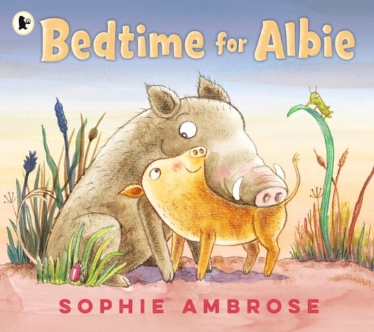 Bedtime For Albie Ambrose Sophie Książka W Empik 