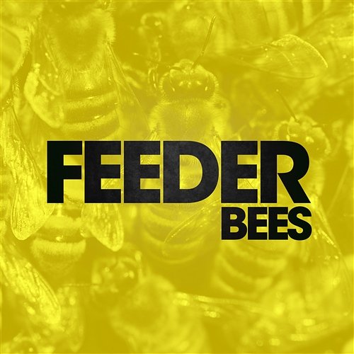 Bees Feeder