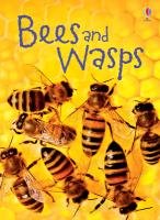 Bees & Wasps Maclaine James