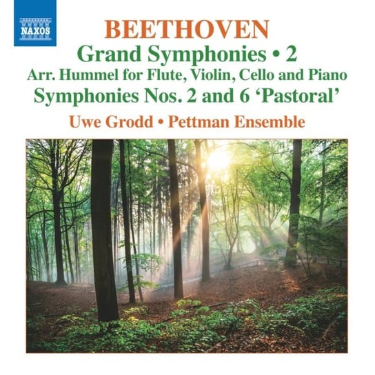 Beethoven: Grand Symphonies. Volume 2 Grodd Uwe