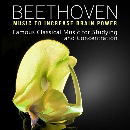 Beethoven Music to Increase Brain Power - Famous Classical Music for Studying and Concentration, Deep Relaxation, Meditation & Effective Learning Rosa Aldrovandi